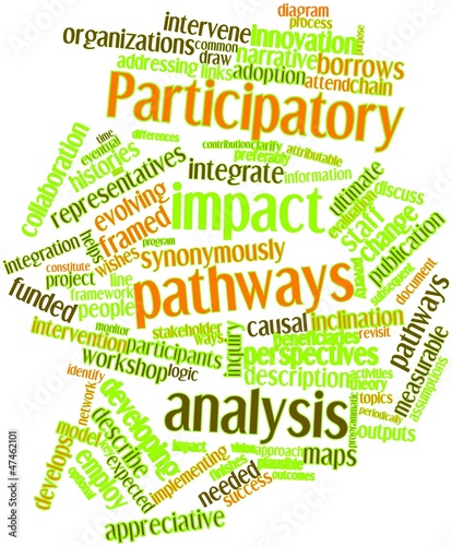 Illustration: Word cloud for Participatory impact pathways analysis Word cloud for Participatory impact pathways analysis
