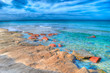 hdr seashore