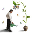 Photo: Plant of money Plant of money