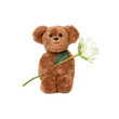 Rose als Geschenk