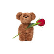 Rose zum Valentinstag