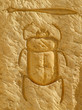 scarab