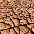 Dry and cracked earth