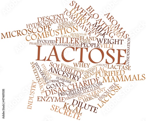 Illustration: Word cloud for Lactose Word cloud for Lactose