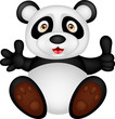 baby panda with thumb up