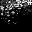 winter floral background with snowflakes