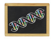 Struktur der DNA aus einer Schiefertafel