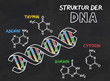 Struktur der DNA aus einer Schiefertafel