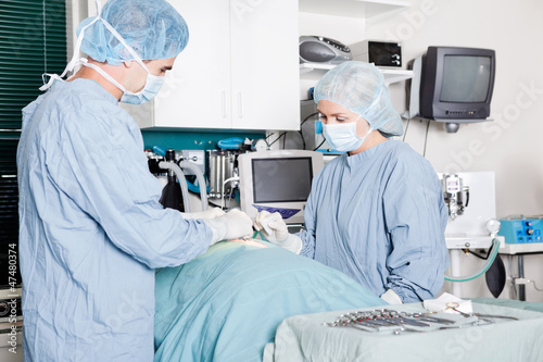 Photo: Veterinarian Doctor And Female Assistant Performing A Surgery Veterinarian Doctor And Female Assistant Performing A Surgery