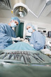 Veterinarian Doctors Performing Surgery At Clinic