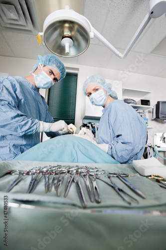 Photo: Veterinarian Doctors Performing Surgery At Clinic Veterinarian Doctors Performing Surgery At Clinic
