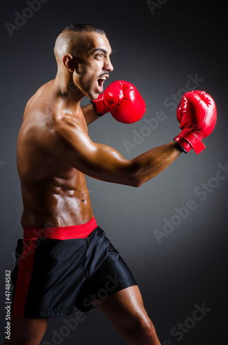 Photo: Muscular boxer in studio shooting Muscular boxer in studio shooting