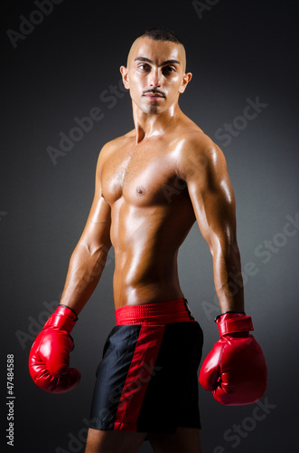Photo: Muscular boxer in studio shooting Muscular boxer in studio shooting
