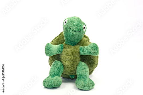 Photo: tortue tortue