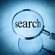 magnify search