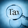 magnify tax
