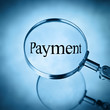 magnify payment
