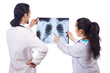 Two doctors looking at x-ray image on white