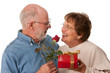 Happy Senior Couple with Gift and Red Rose