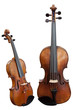 violoncello