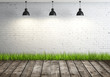 room with green grass