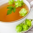 Hopfen - Tee