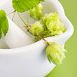 Hopfen