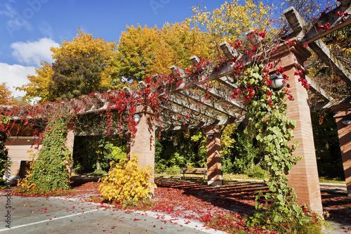 Photo: Enchanted Garden Enchanted Garden