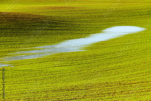 Photo: Puddle on the field. Puddle on the field.