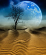 3D Desert