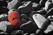Single red brick amongst lots of monochrome bricks