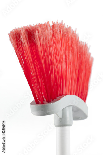 Photo: Scopa cresta Scopa cresta
