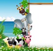 funny animal cartoon with blank sign and tropical beach