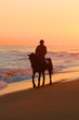 Lonely horse rider on beach
