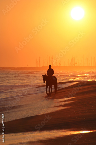 Photo: Man riding a horse on beach Man riding a horse on beach