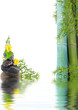 concept nature détente, bien-être, relaxation