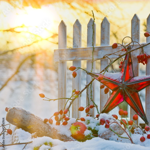 Photo: Wintermorgen Wintermorgen