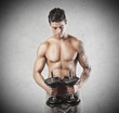 Muscles