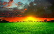 Beautiful sunset