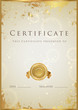 Certificate of completion template. Vector