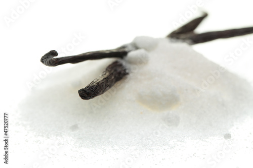 Photo: Kristallzucker mit Vanilleschoten Kristallzucker mit Vanilleschoten