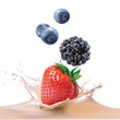 Vector: milk, blackberries, blueberries and strawberries milk, blackberries, blueberries and strawberries