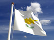 Cyprus Flag