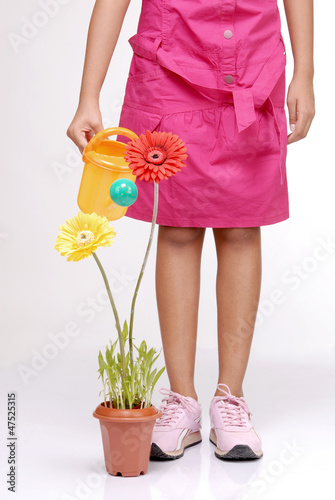 Photo: Hand watering a plant Hand watering a plant