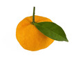 tangerine on white