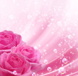 Roses  and bubbles