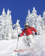 sportlicher Freerider