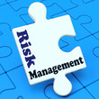 Risk Management Means Analyze Evaluate Avoid Crisis