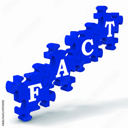 Illustration: Fact Puzzle Shows Truth And Reality Fact Puzzle Shows Truth And Reality