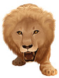 Pathera leo